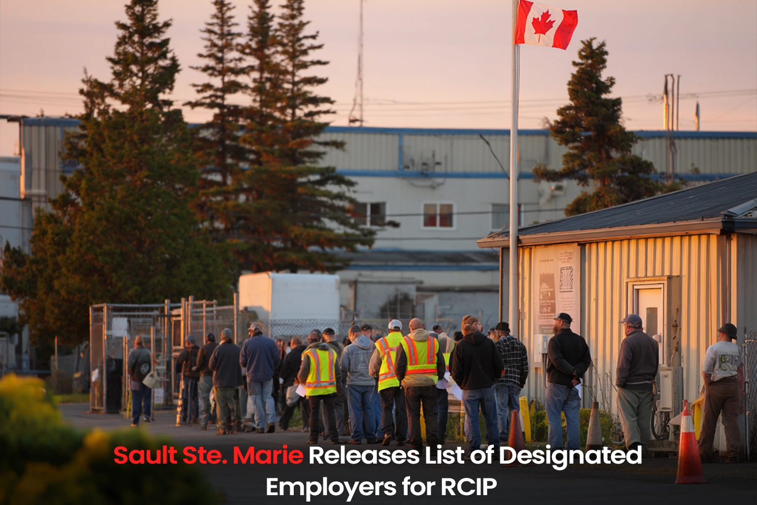 Sault Ste. Marie Releases List of Designated Employers for RCIP