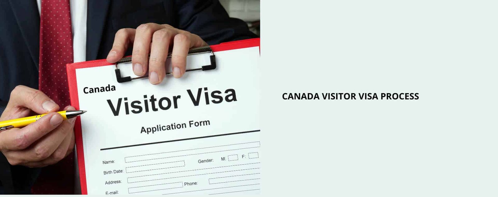 Visitor visa process form